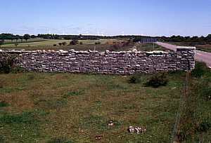 Mur Karola X